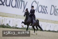 25R13_01878 thumbnail