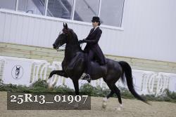 25R13_01907 thumbnail