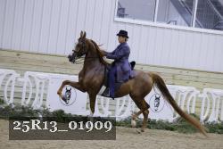 25R13_01909 thumbnail