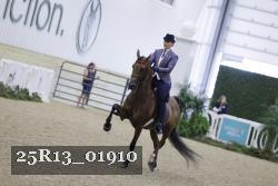 25R13_01910 thumbnail
