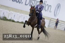 25R13_01911 thumbnail