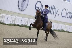 25R13_01912 thumbnail
