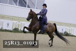 25R13_01913 thumbnail