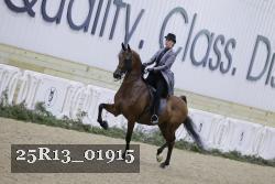 25R13_01915 thumbnail