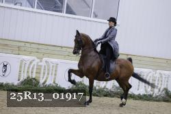 25R13_01917 thumbnail