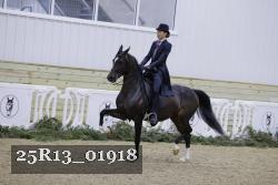 25R13_01918 thumbnail