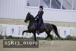 25R13_01919 thumbnail