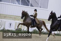 25R13_01920 thumbnail