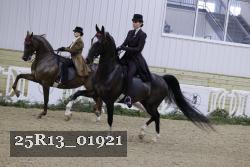 25R13_01921 thumbnail