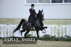 25R13_01922 thumbnail