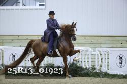 25R13_01923 thumbnail