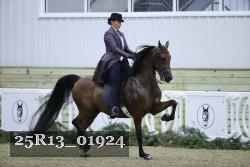 25R13_01924 thumbnail