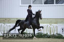 25R13_01926 thumbnail