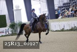 25R13_01927 thumbnail