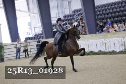 25R13_01928 thumbnail