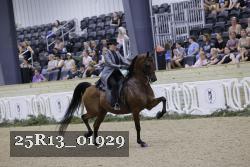 25R13_01929 thumbnail
