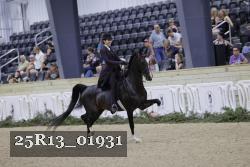 25R13_01931 thumbnail