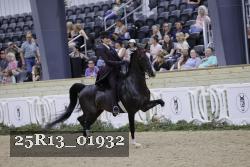 25R13_01932 thumbnail