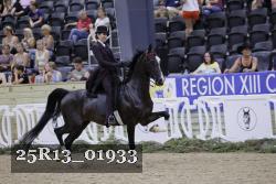 25R13_01933 thumbnail