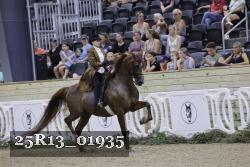 25R13_01935 thumbnail