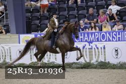 25R13_01936 thumbnail