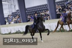 25R13_01938 thumbnail