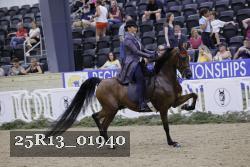 25R13_01940 thumbnail