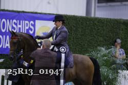 25R13_01947 thumbnail