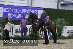 25R13_01950 thumbnail