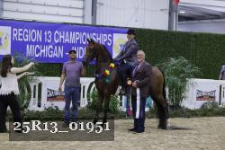 25R13_01951 thumbnail