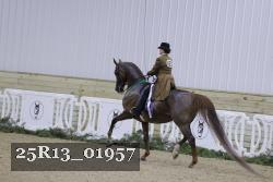 25R13_01957 thumbnail