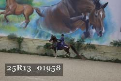 25R13_01958 thumbnail