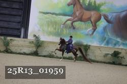 25R13_01959 thumbnail