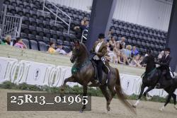 25R13_01965 thumbnail