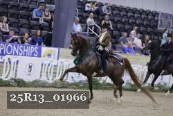 25R13_01966 thumbnail