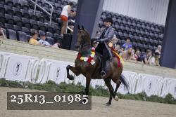 25R13_01985 thumbnail