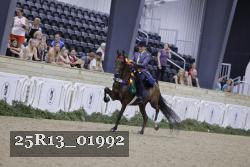 25R13_01992 thumbnail