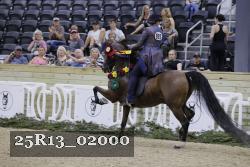 25R13_02000 thumbnail