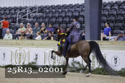 25R13_02001 thumbnail