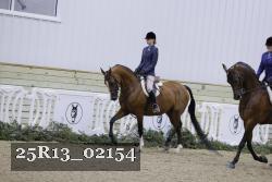 25R13_02154 thumbnail