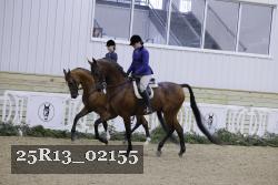 25R13_02155 thumbnail