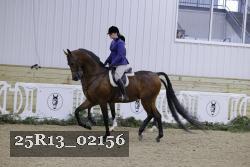 25R13_02156 thumbnail