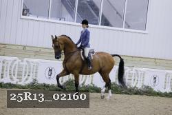 25R13_02160 thumbnail