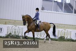 25R13_02161 thumbnail