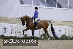 25R13_02163 thumbnail