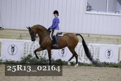 25R13_02164 thumbnail