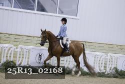 25R13_02168 thumbnail