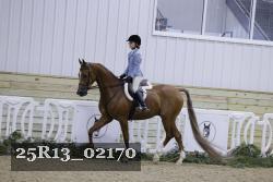 25R13_02170 thumbnail
