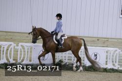 25R13_02171 thumbnail