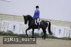 25R13_02172 thumbnail